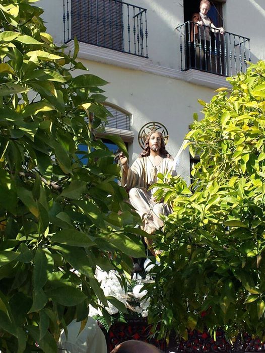 naranjos