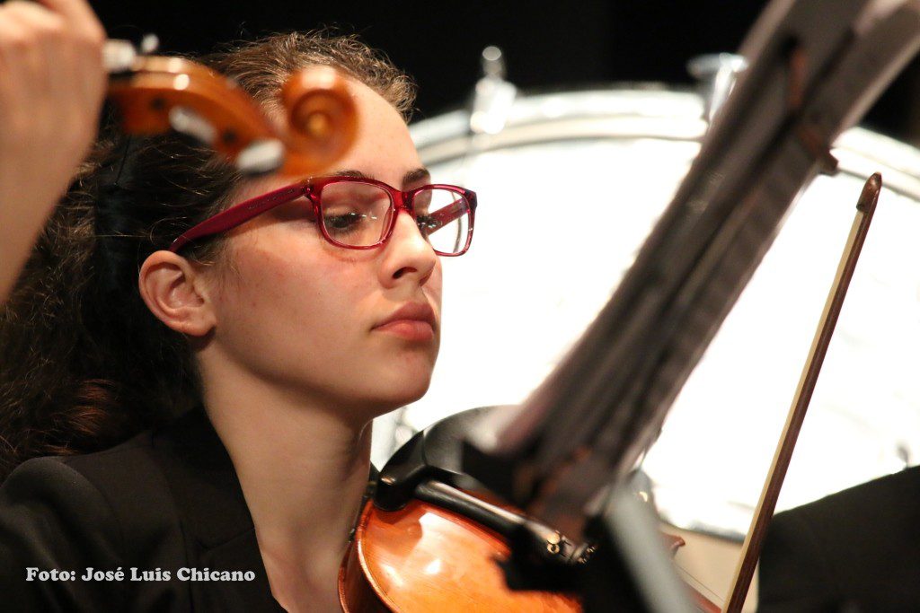 violin4