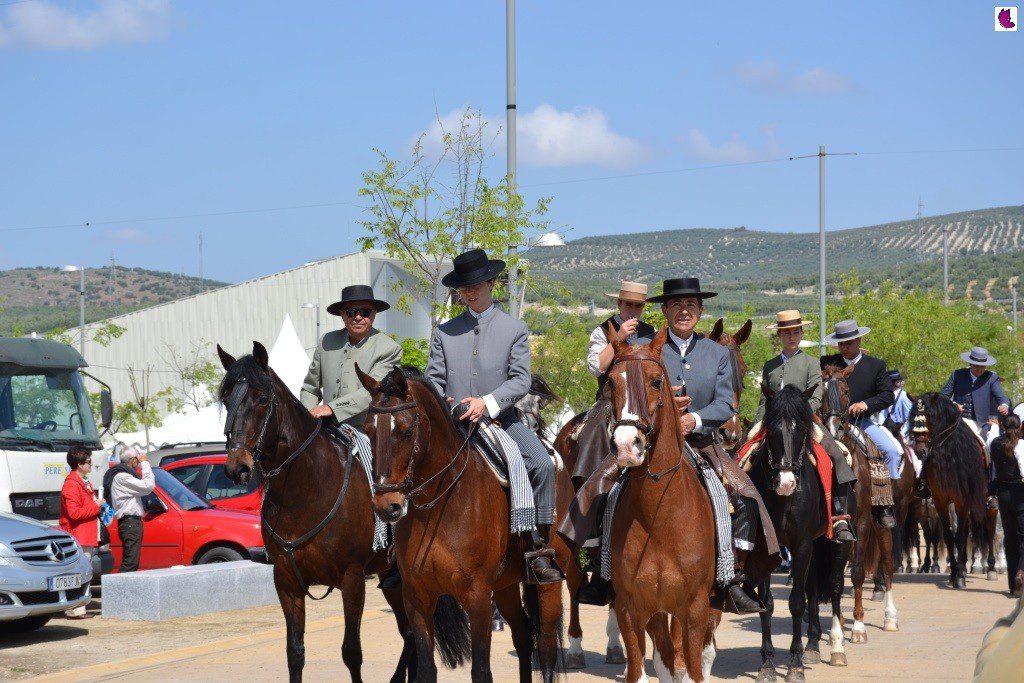 CABALLOS1