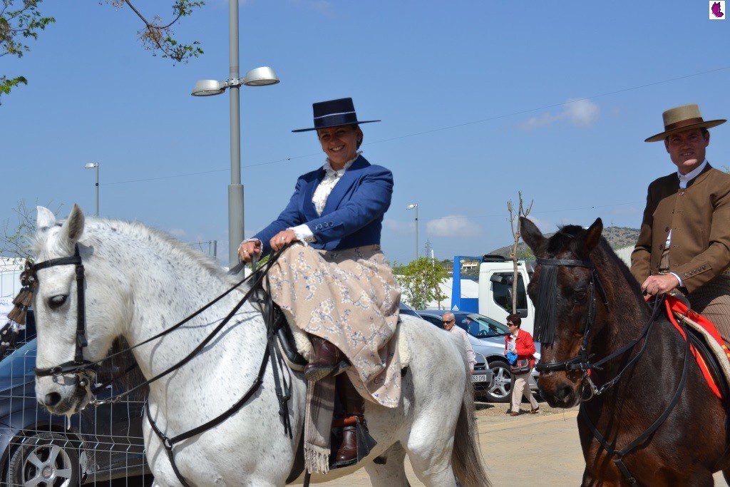 CABALLOS10
