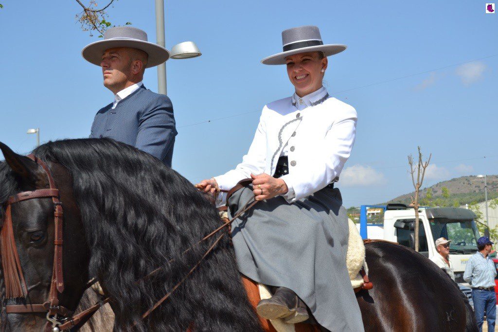 CABALLOS11
