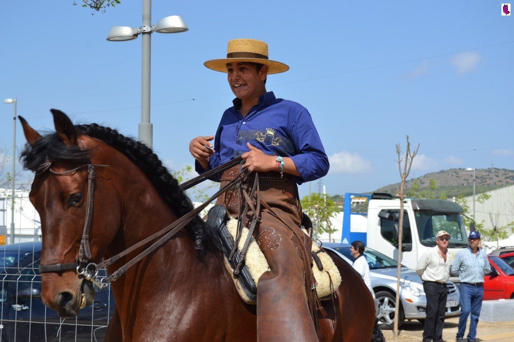 CABALLOS12