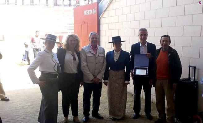 CABALLOS15