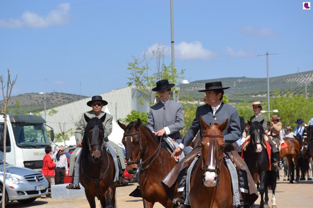 CABALLOS2