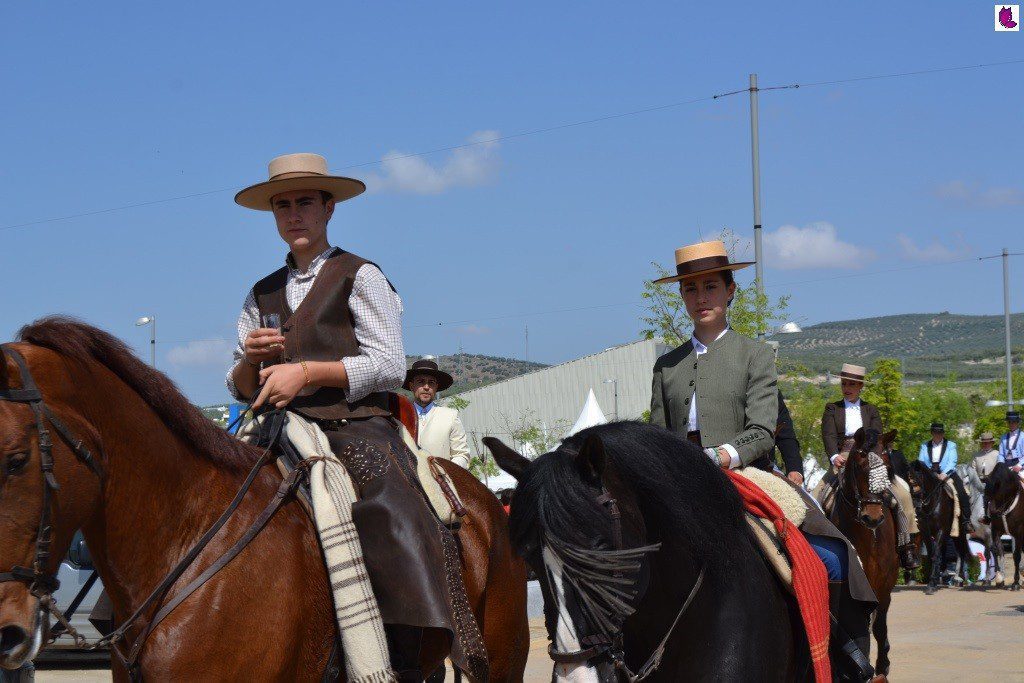 CABALLOS3