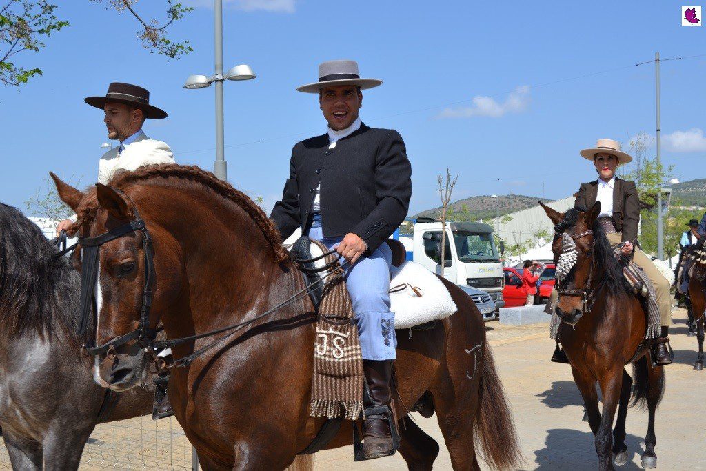 CABALLOS4