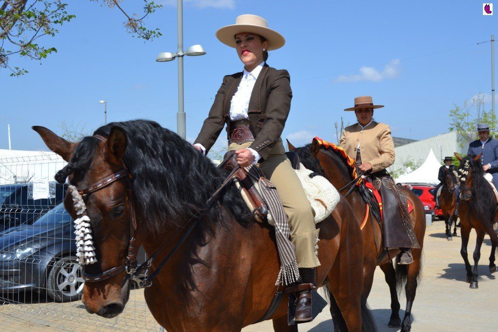 CABALLOS5