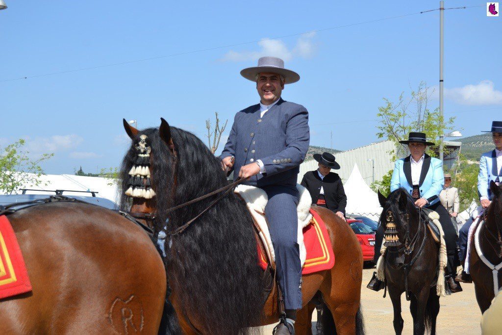 CABALLOS6
