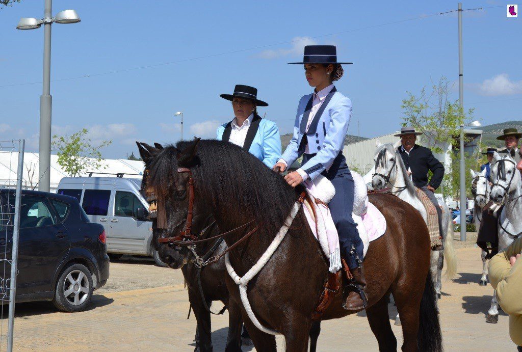 CABALLOS7