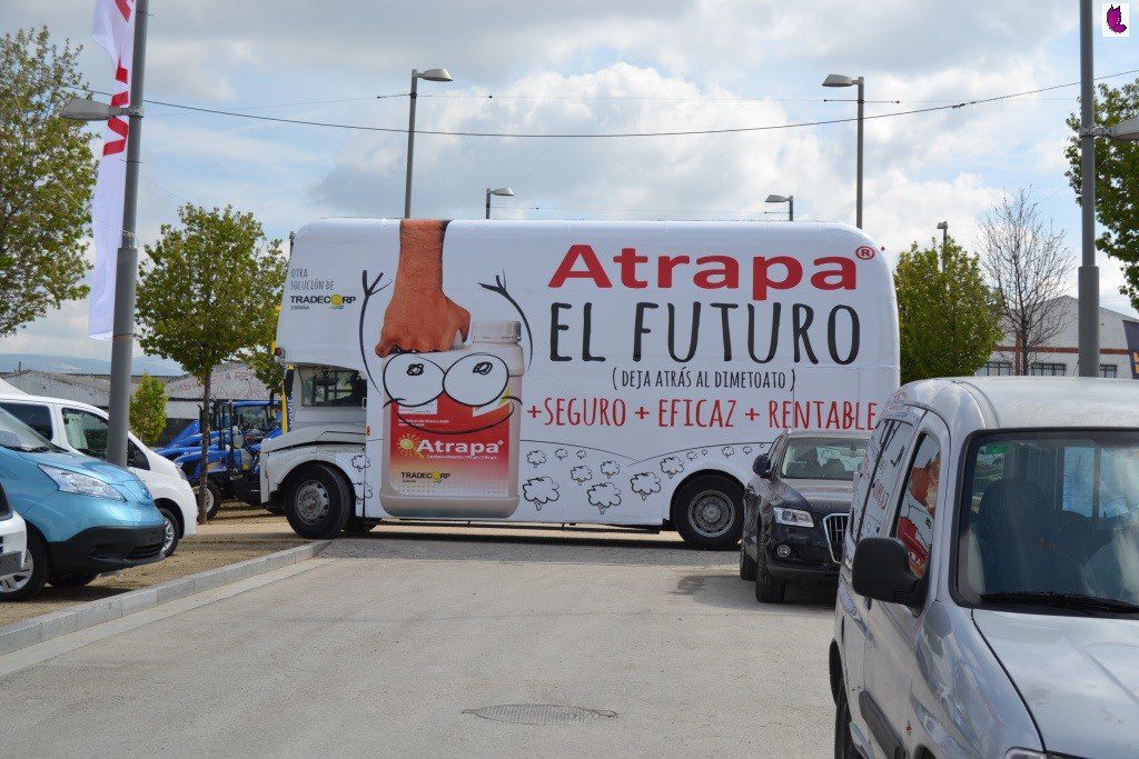 FERIA11