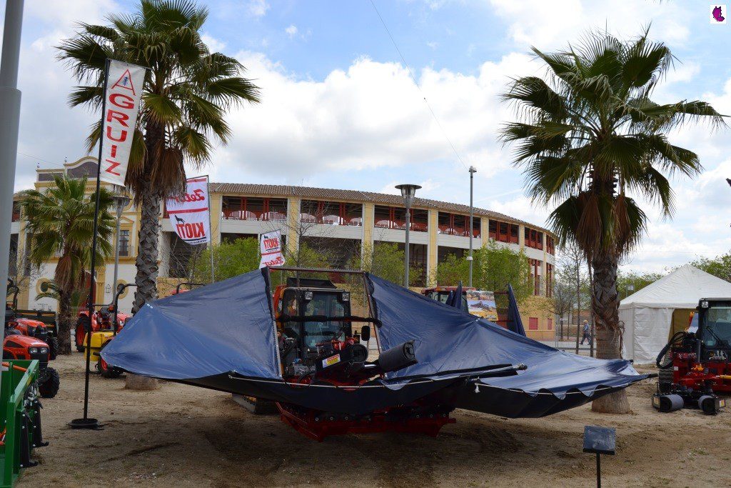 FERIA13