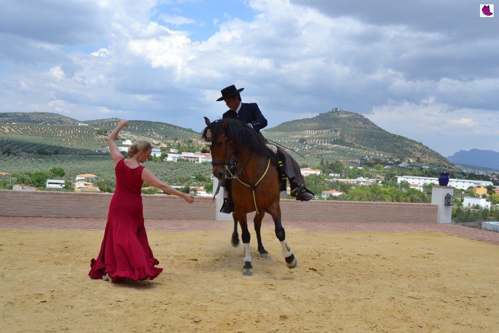 CABALLO1