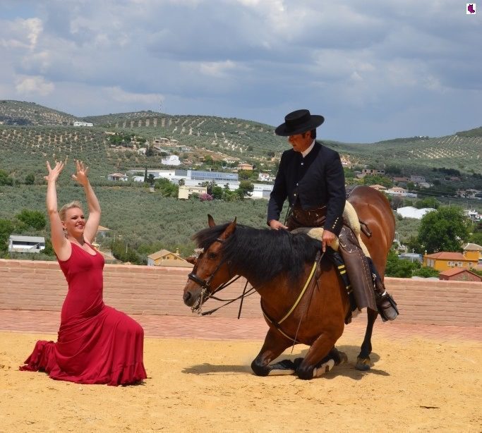 CABALLO3