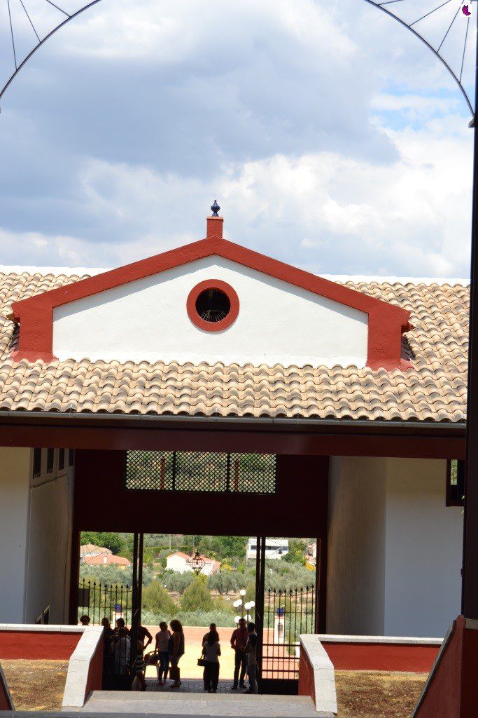 PAISAJE10
