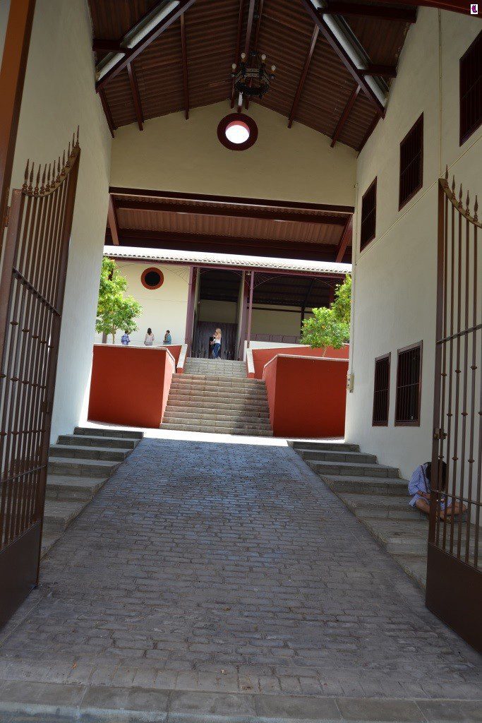PAISAJE3