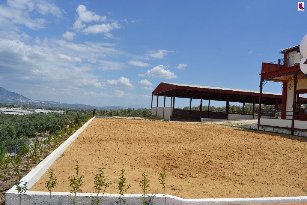 PAISAJE6