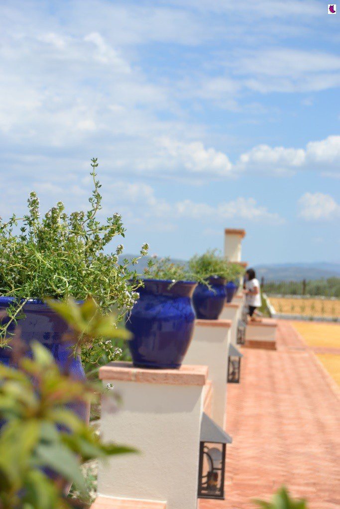 PAISAJE7