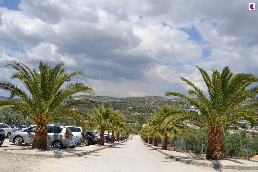 PAISAJE8