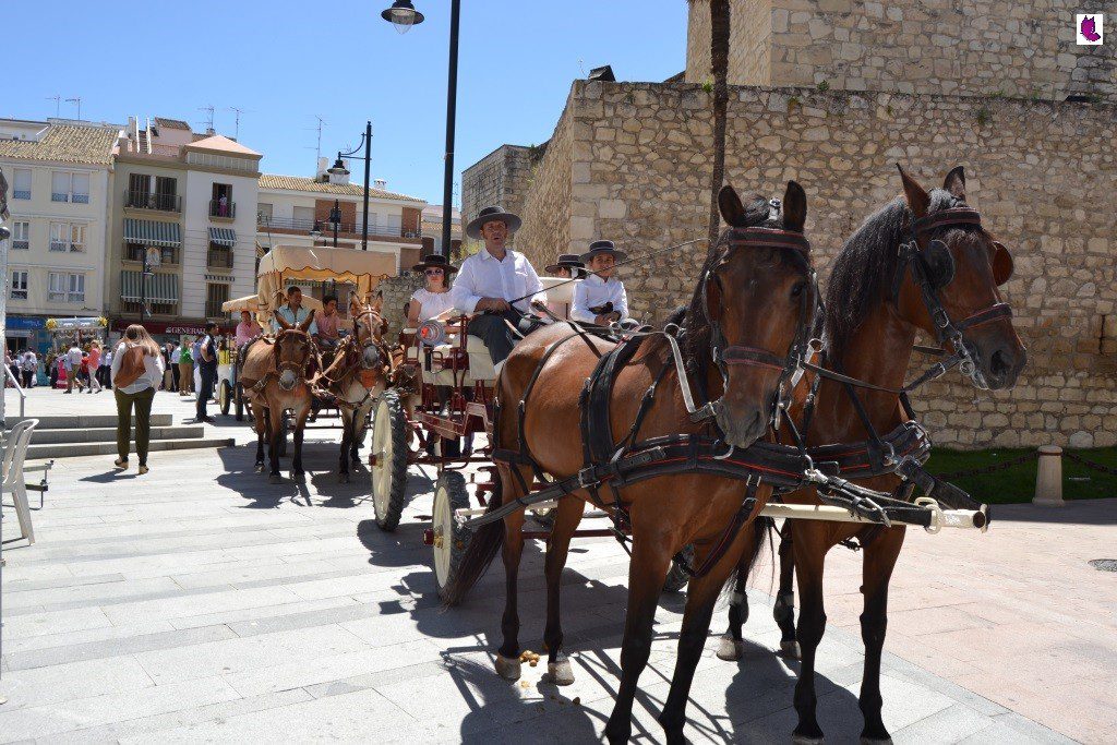 rocio13