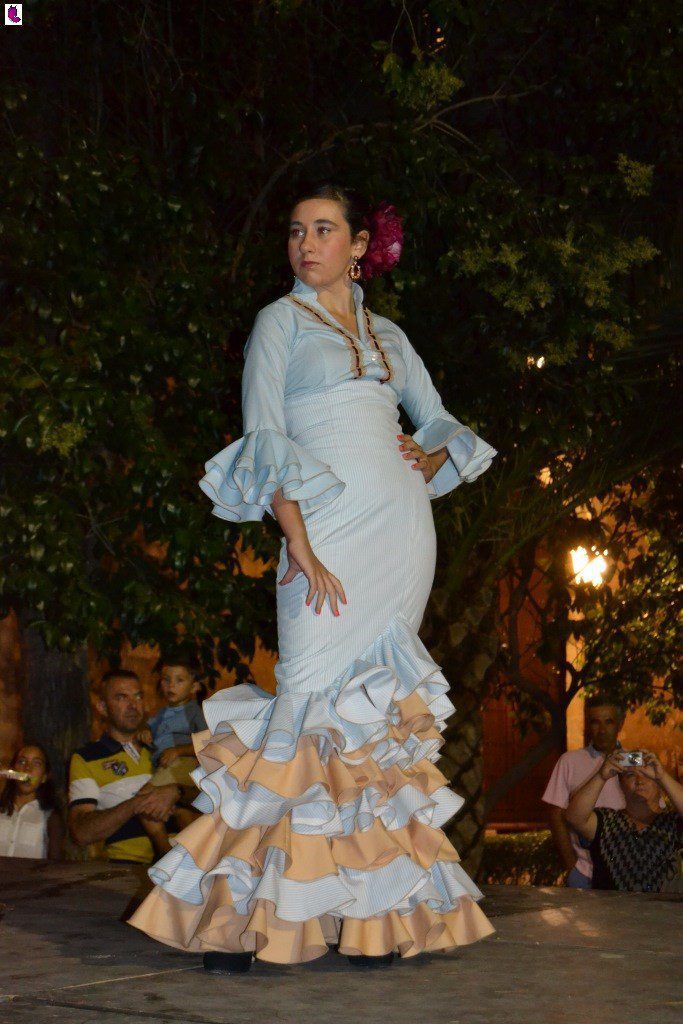 concurso 13