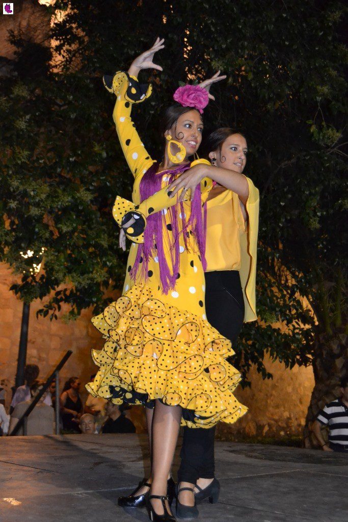 concurso 29