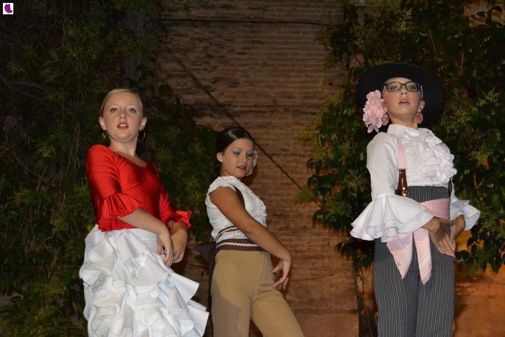 concurso 33