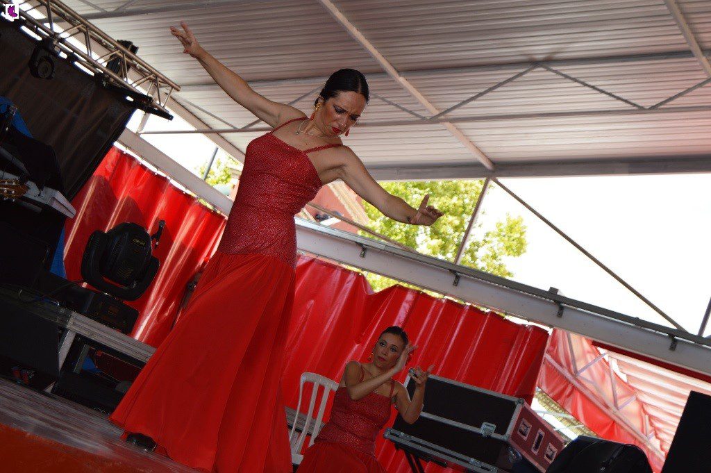 feria del valle 10
