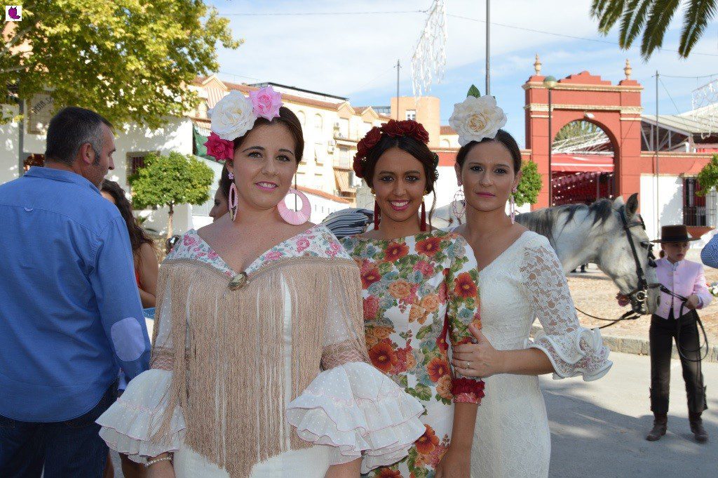 feria del valle 53