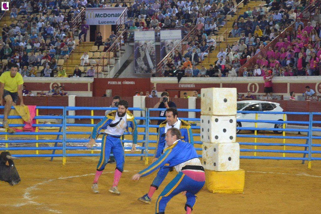lucena prix 6