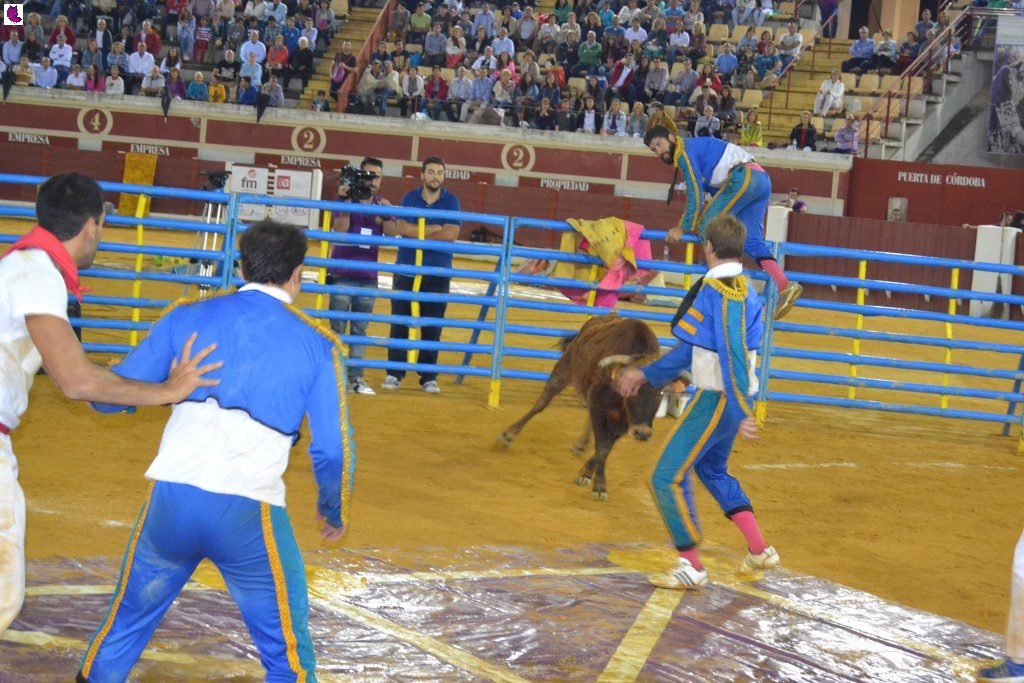 lucena prix 9