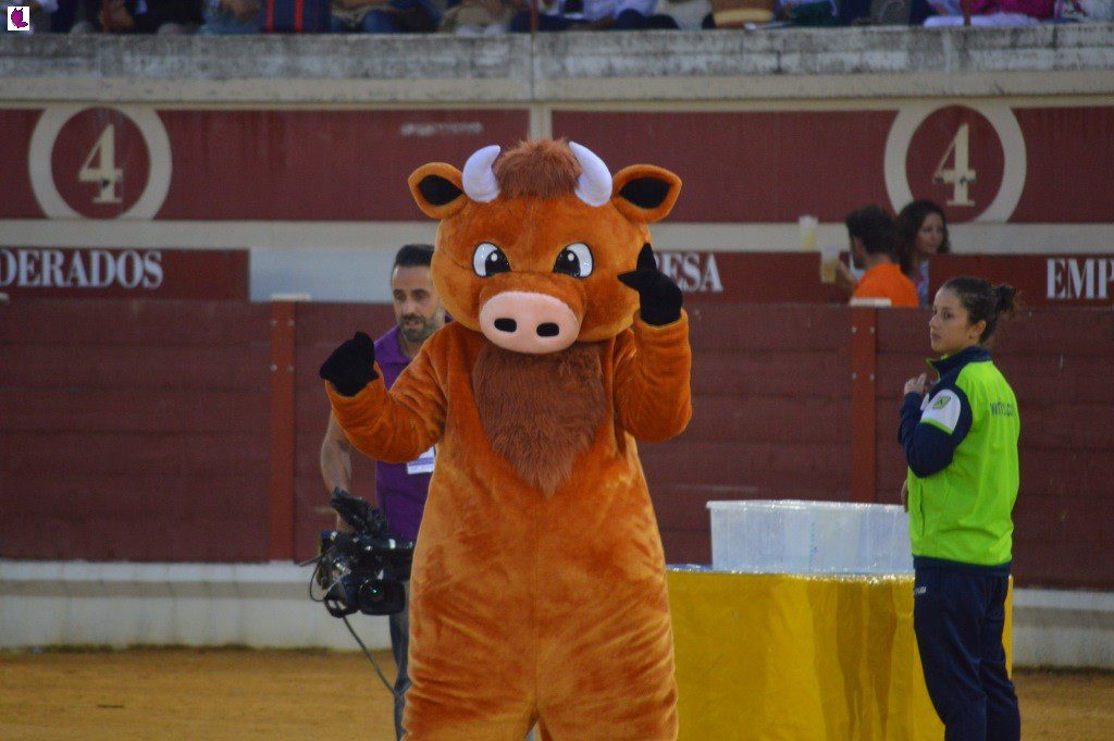 prix lucena 29