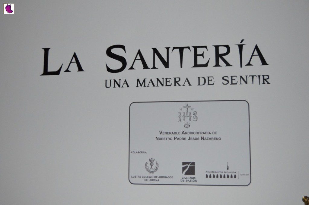MUSEO 17