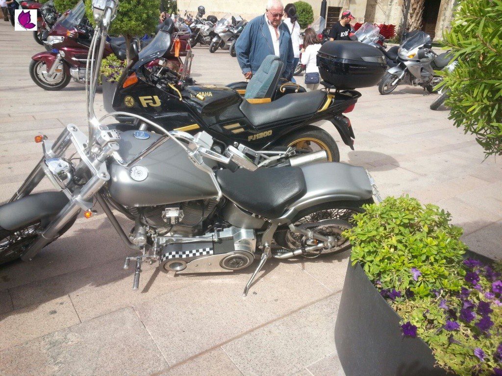 rider 25