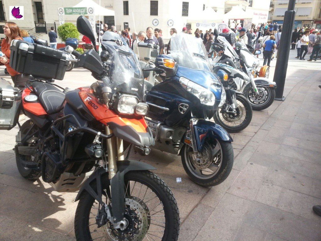 rider 26