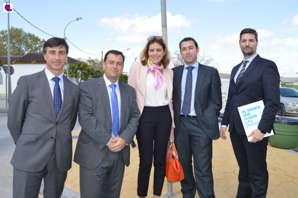 AGRO 31