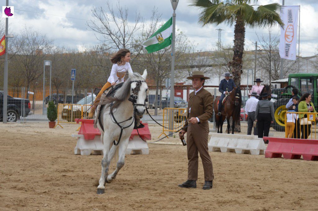 CABALLOS 11