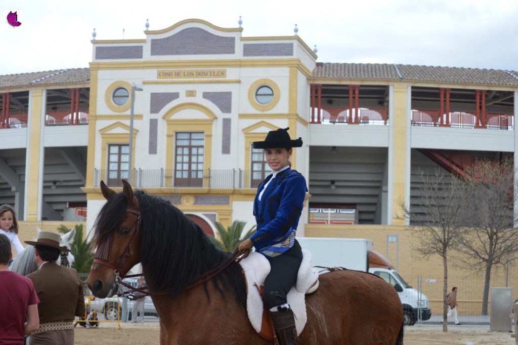 CABALLOS 13