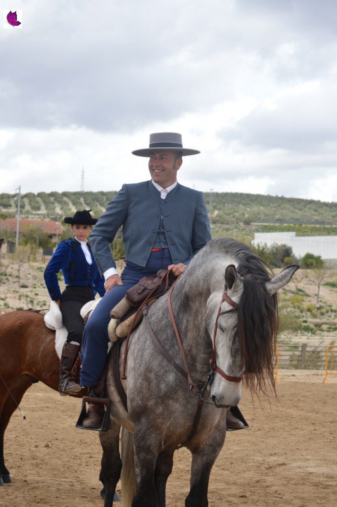 CABALLOS 14