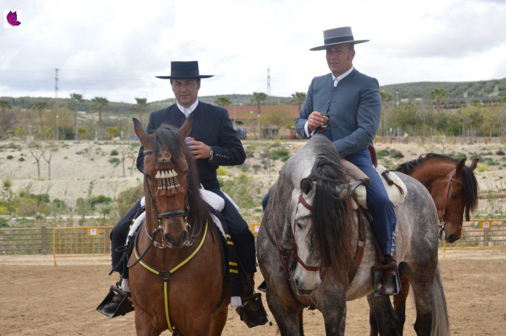 CABALLOS 15