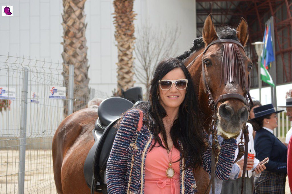 CABALLOS 16