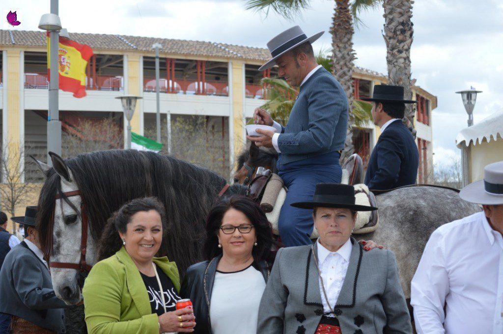 CABALLOS 17