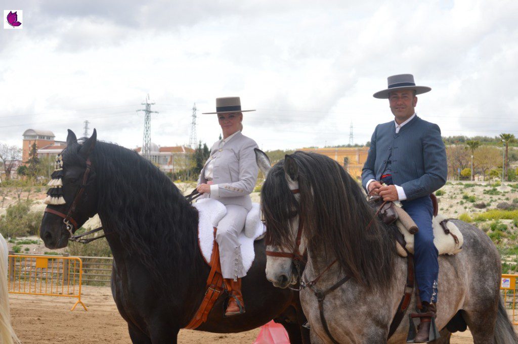 CABALLOS 2
