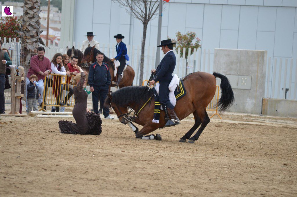 CABALLOS 21