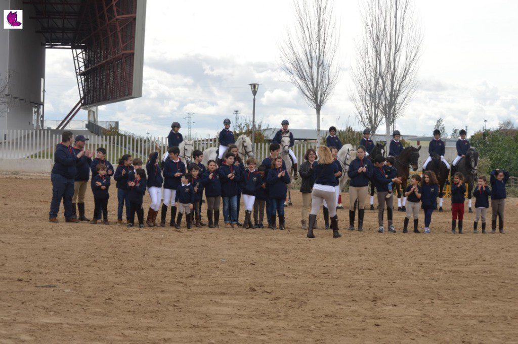 CABALLOS 23