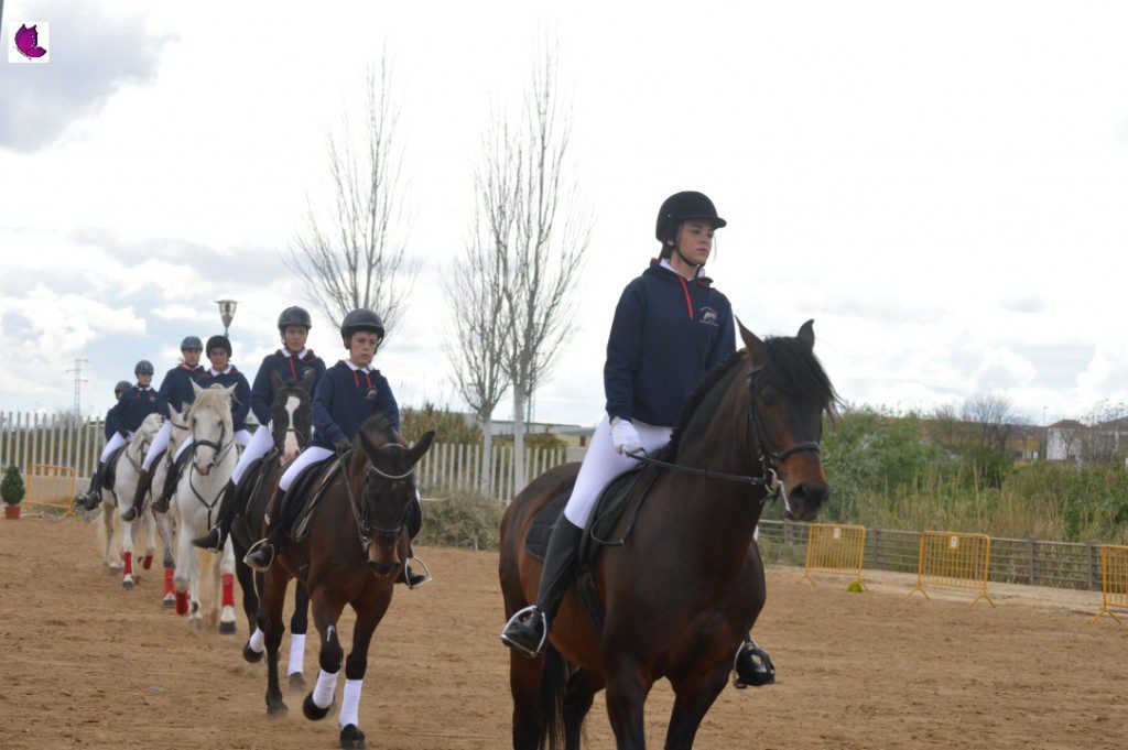 CABALLOS 24