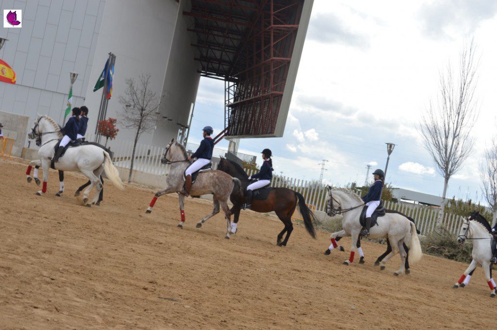 CABALLOS 25