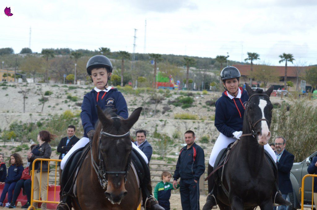 CABALLOS 27