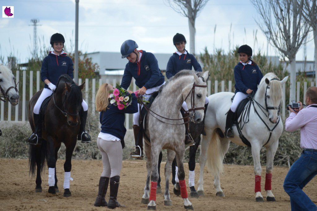 CABALLOS 29