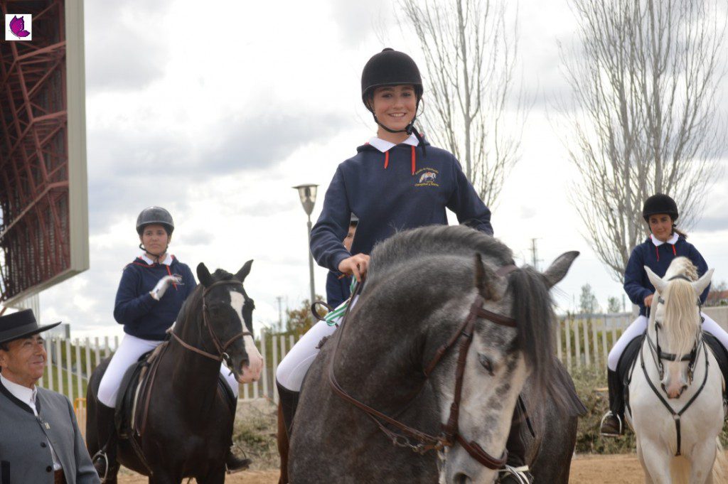 CABALLOS 36