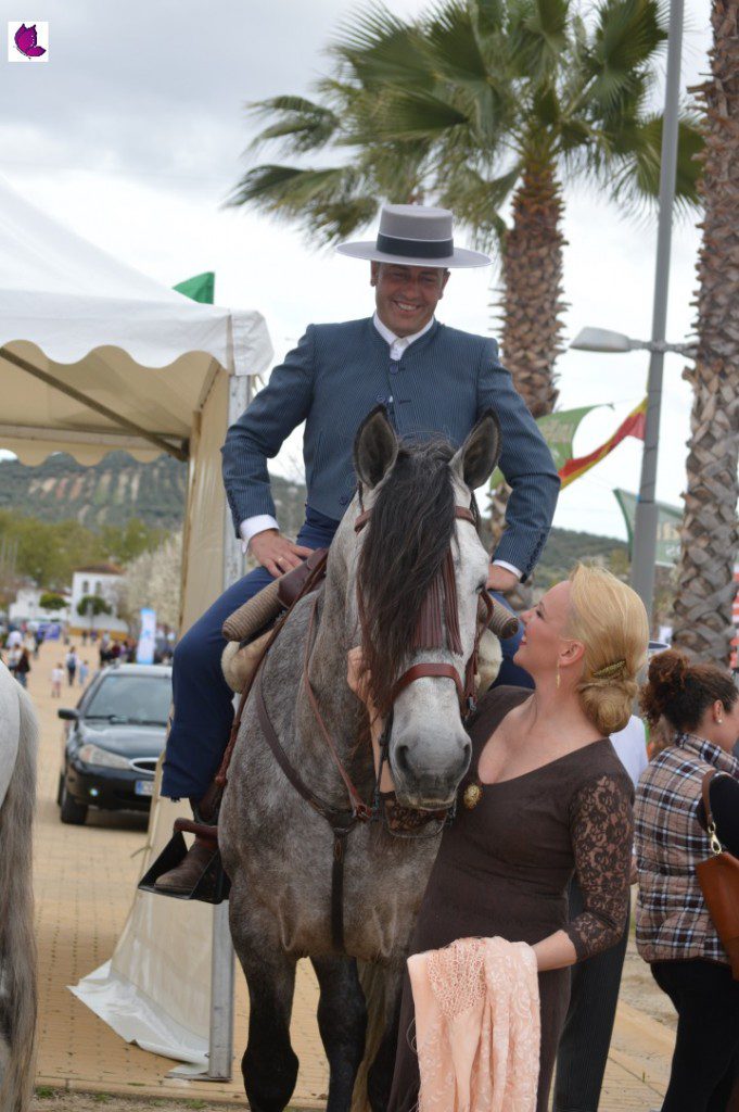 CABALLOS 39
